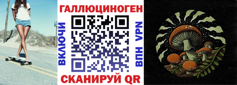 купить   Назарово  Псилоцибиновые грибы Psilocybine cubensis 