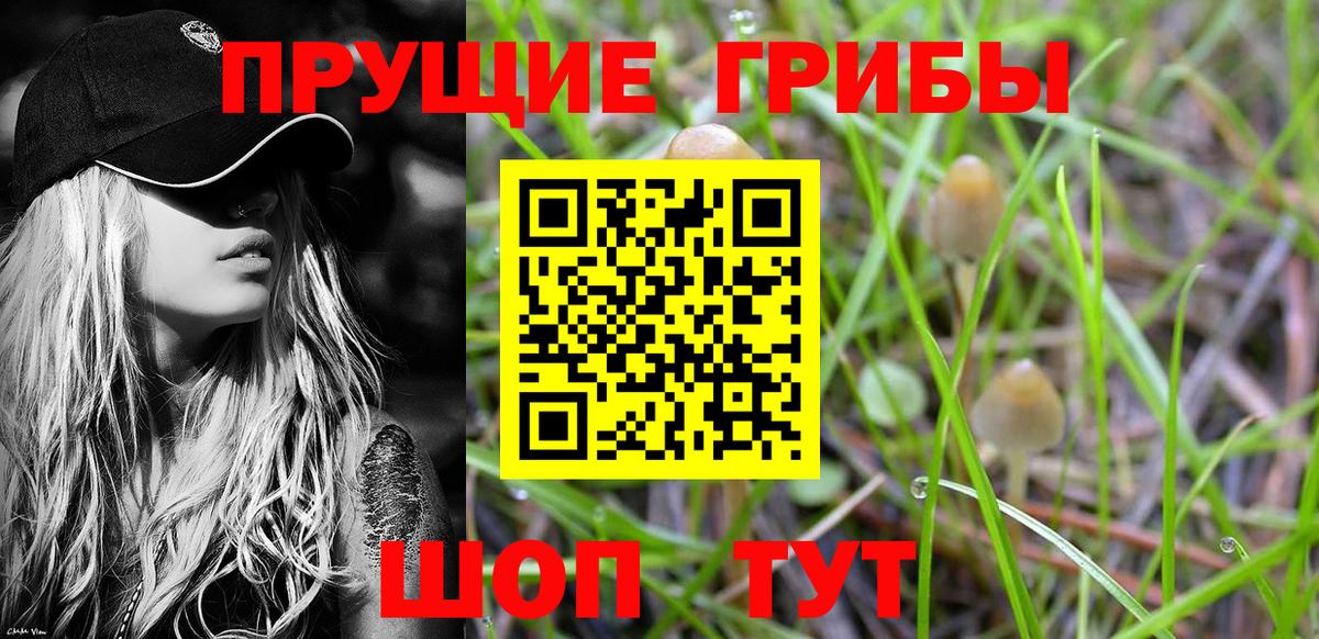 Псилоцибиновые грибы мухоморы Назарово